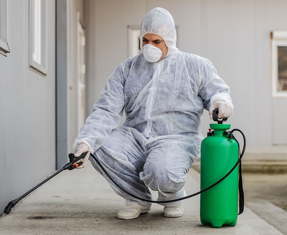 Professional Pest Control