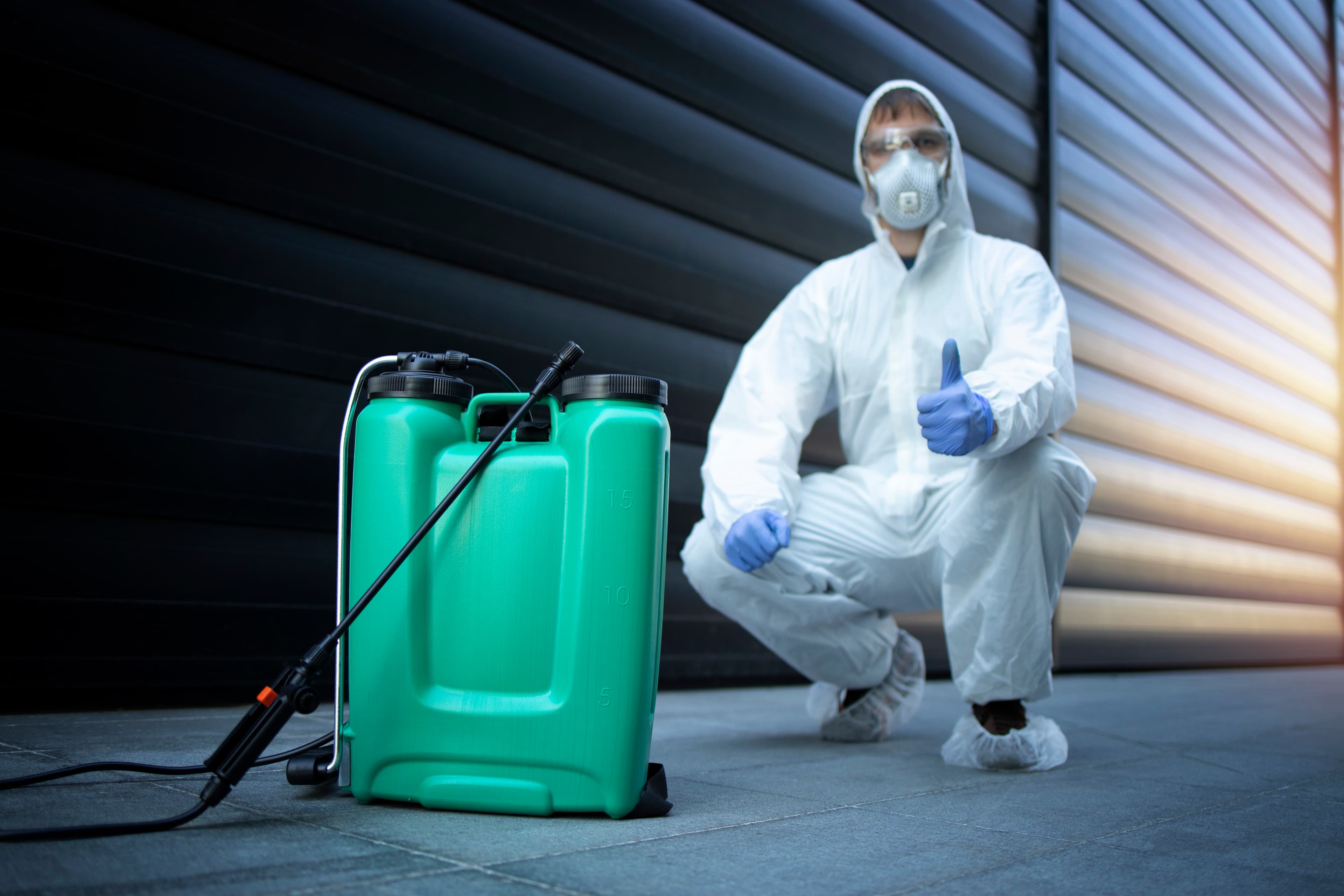 Eco-friendly ant treatment