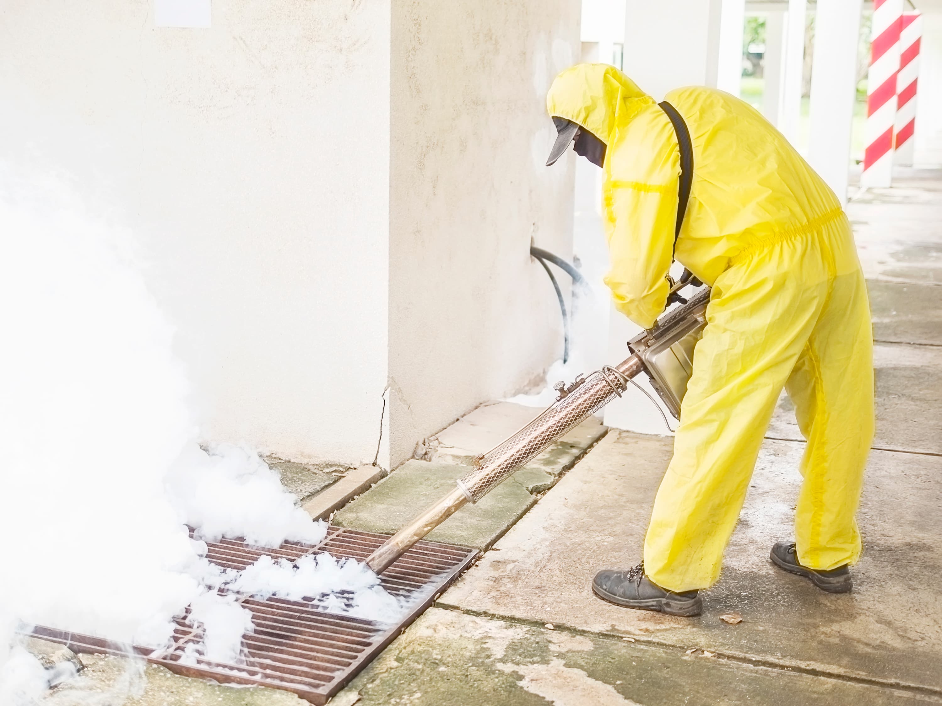 Insulation Contamination problem in Toronto homes