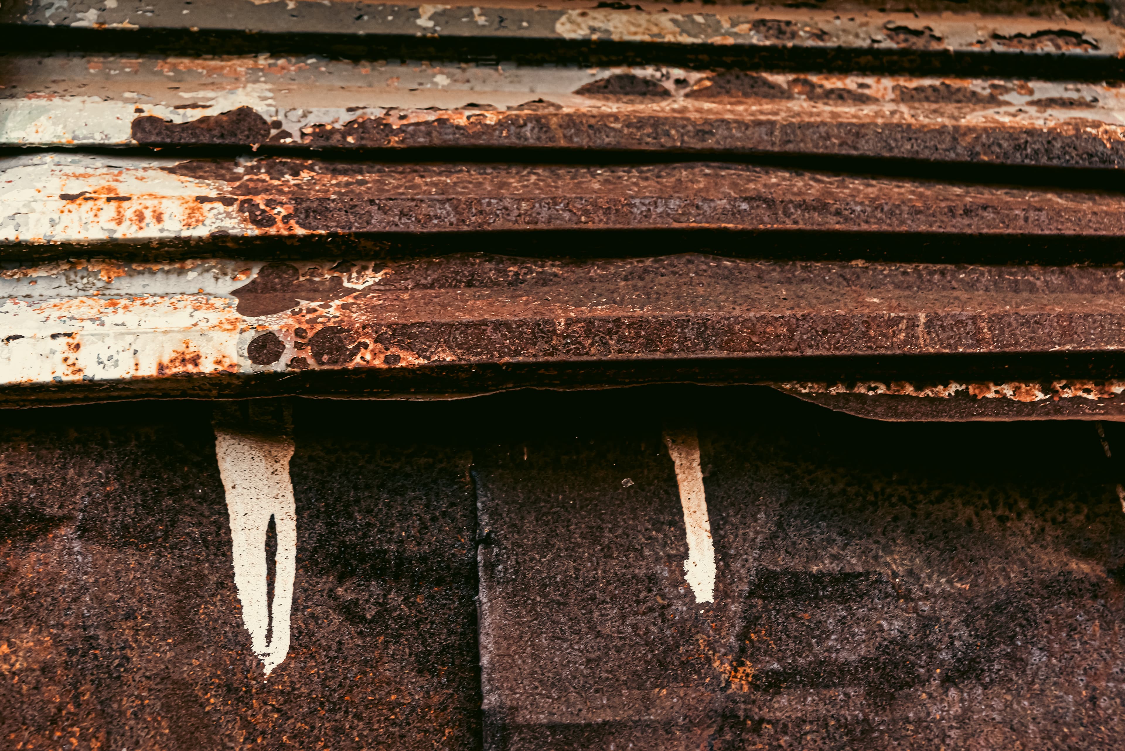 Roof & Attic Damage problem in Toronto homes